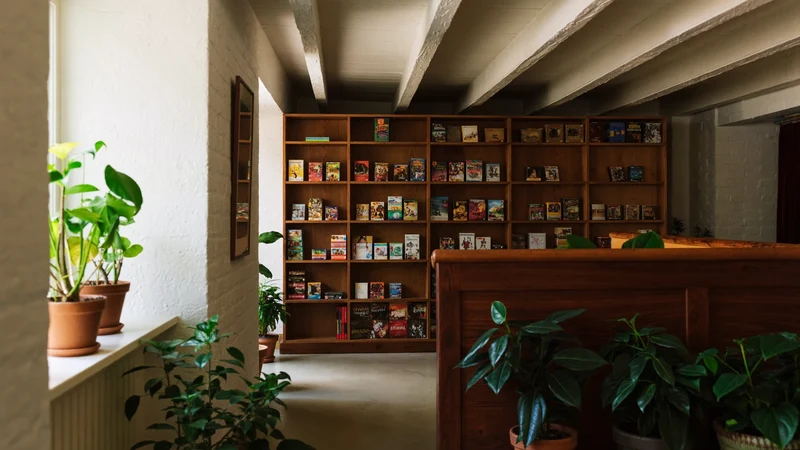 Interno luminoso di un piccolo negozio di giochi da tavolo con scaffali in legno e piante